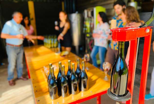 Tour de vinos con cata y maridaje